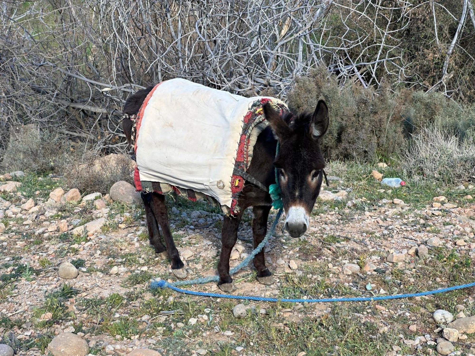 Dar Mezyana Dades Hotell Aït Idaïr Exteriör bild